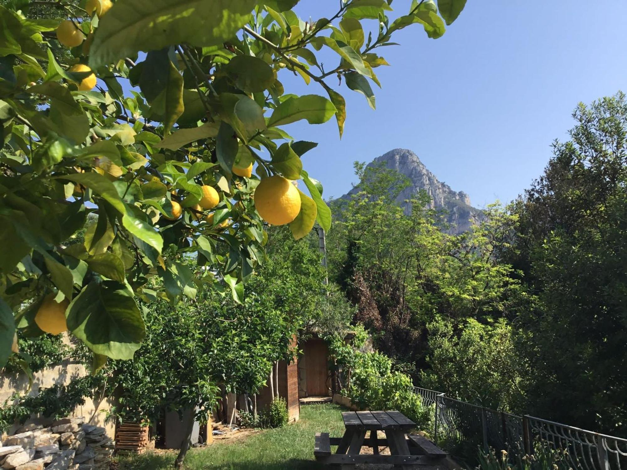 Au Pied Des Baous Bed & Breakfast Vence Exterior photo